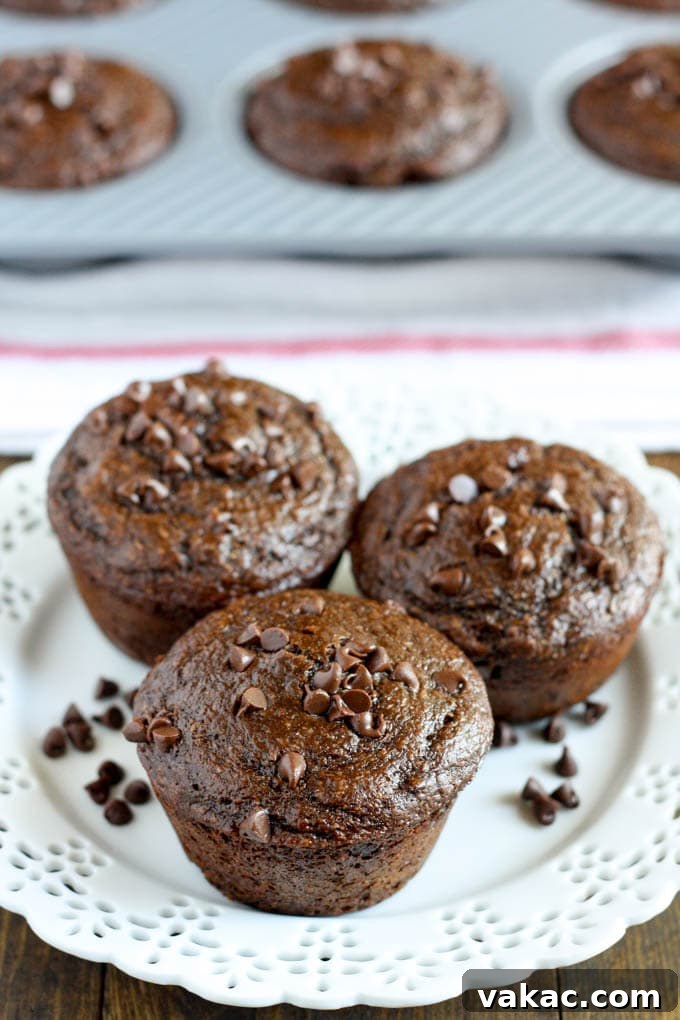 Luscious Light Double Chocolate Muffins 2 Three healthy chocolate muffins on a white plate, with more muffins in a baking tin in the background.