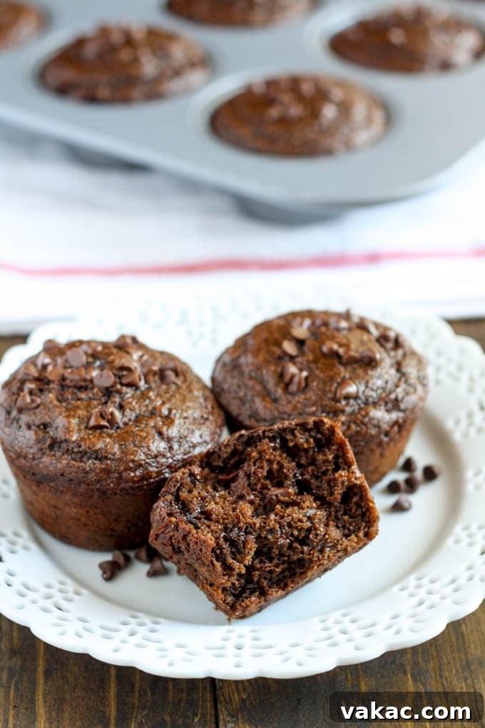 Luscious Light Double Chocolate Muffins 4 Three healthy chocolate muffins arranged on a white plate, with a muffin tin holding more muffins in the blurred background.