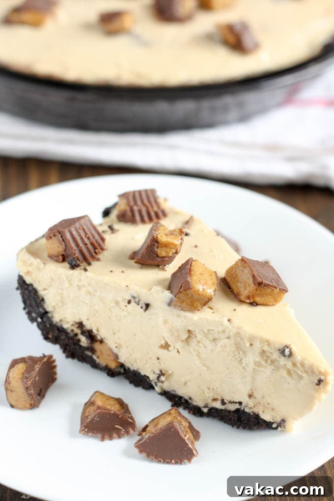 Over 20 No-Bake Treats to Beat the Summer Heat 3 No-Bake Peanut Butter Pie, a creamy and rich dessert for peanut butter lovers