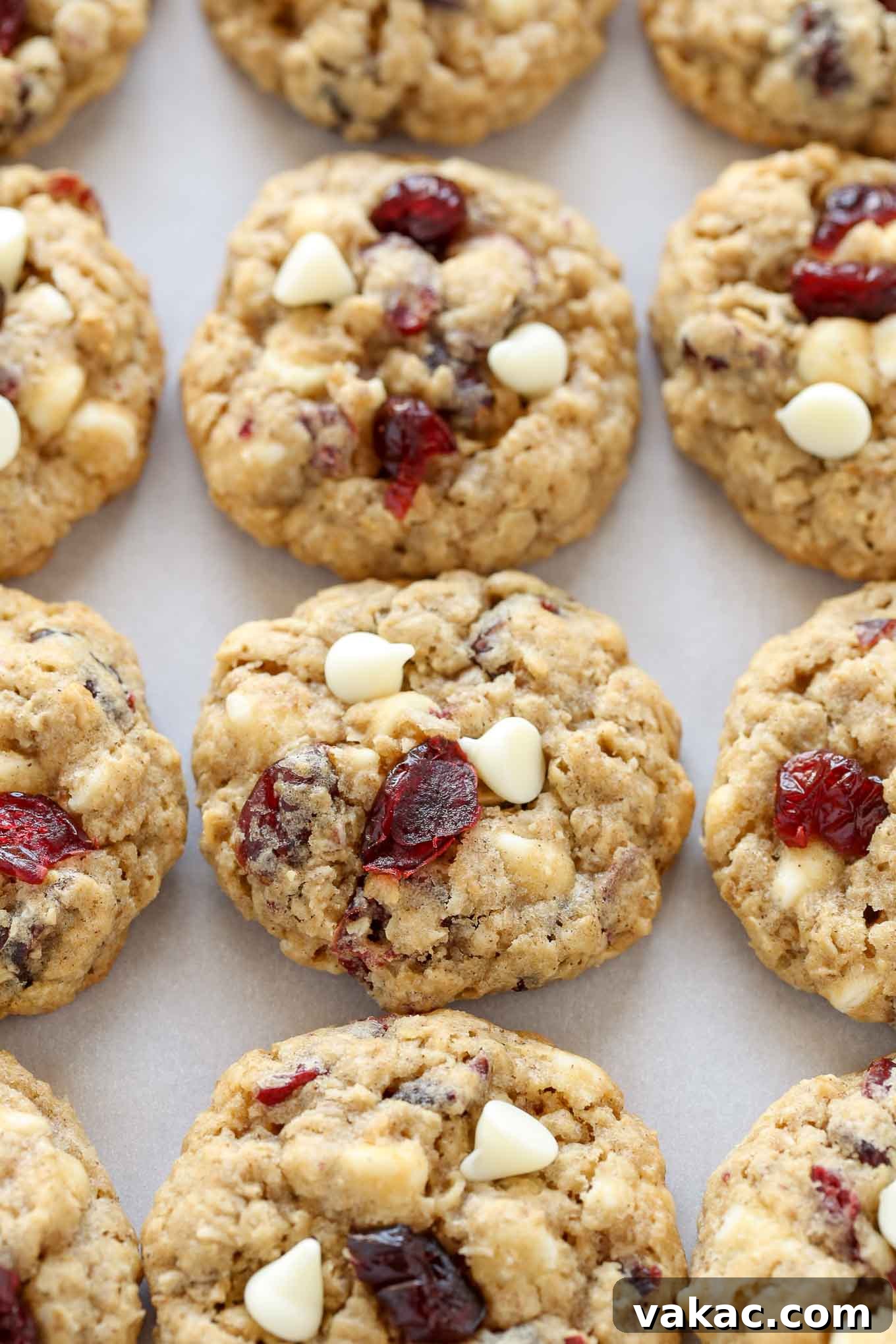 Irresistibly Soft and Chewy White Chocolate Cranberry Oatmeal Cookies 3 Close up view of oatmeal cranberry cookies lined up on a baking sheet, showing their slightly golden edges and soft centers.