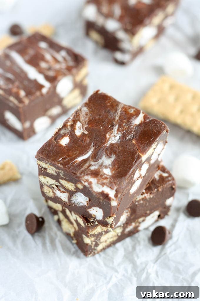 Turtle Fudge Fun and Freebies 6 S'mores Fudge