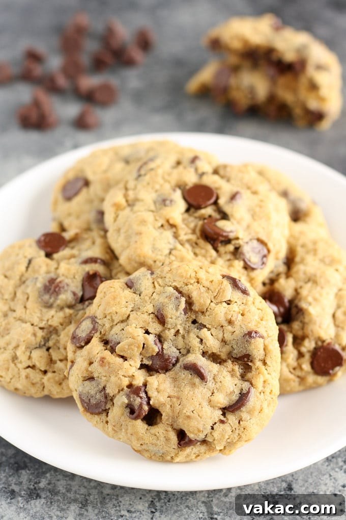 Just Enough Oatmeal Chocolate Chip Cookies 2 Delicious and easy Small Batch Oatmeal Chocolate Chip Cookies, warm from the oven on a baking sheet