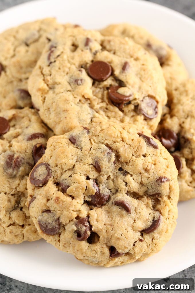 Just Enough Oatmeal Chocolate Chip Cookies 4 A beautifully arranged plate of freshly baked Small Batch Oatmeal Chocolate Chip Cookies with a glass of milk