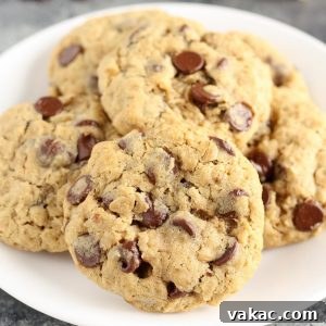 Just Enough Oatmeal Chocolate Chip Cookies 5 Small Batch Oatmeal Chocolate Chip Cookies with melted chocolate