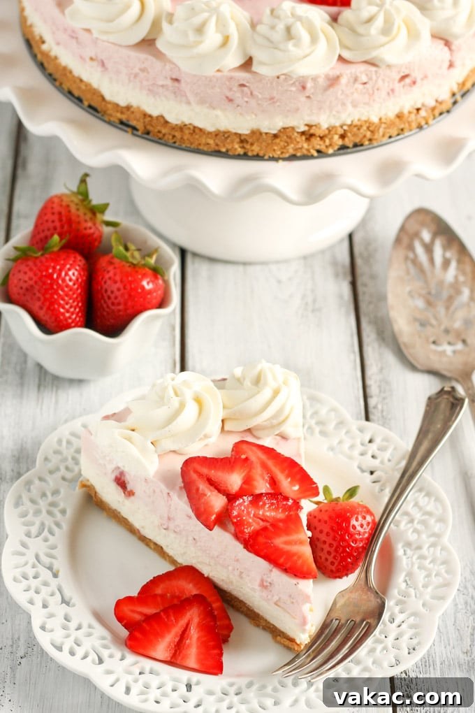 Velvet Strawberry Vanilla Bean Cheesecake 2 A perfectly sliced piece of no-bake strawberry cheesecake resting on a white dessert plate, adorned with fresh berry slices. In the softened background, the remaining cheesecake and a small bowl of strawberries add to the inviting scene.