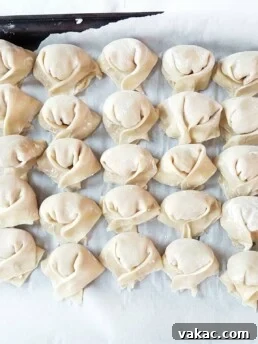 Homemade Pork Wonton Soup