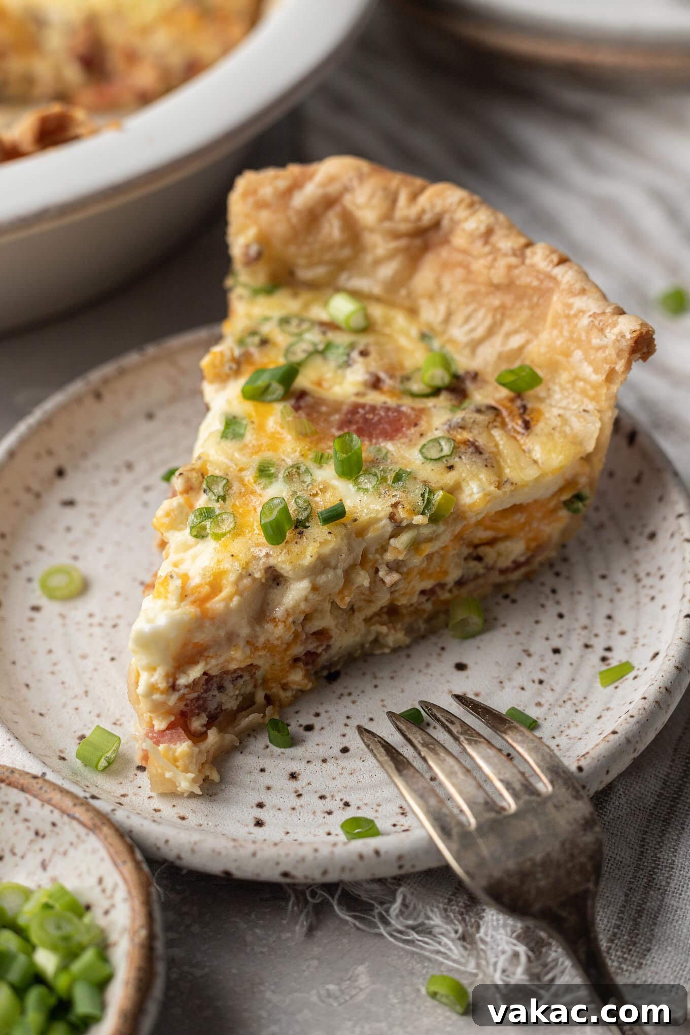 Quiche Made Simple 2 A slice of bacon and cheese quiche on a speckled white plate.