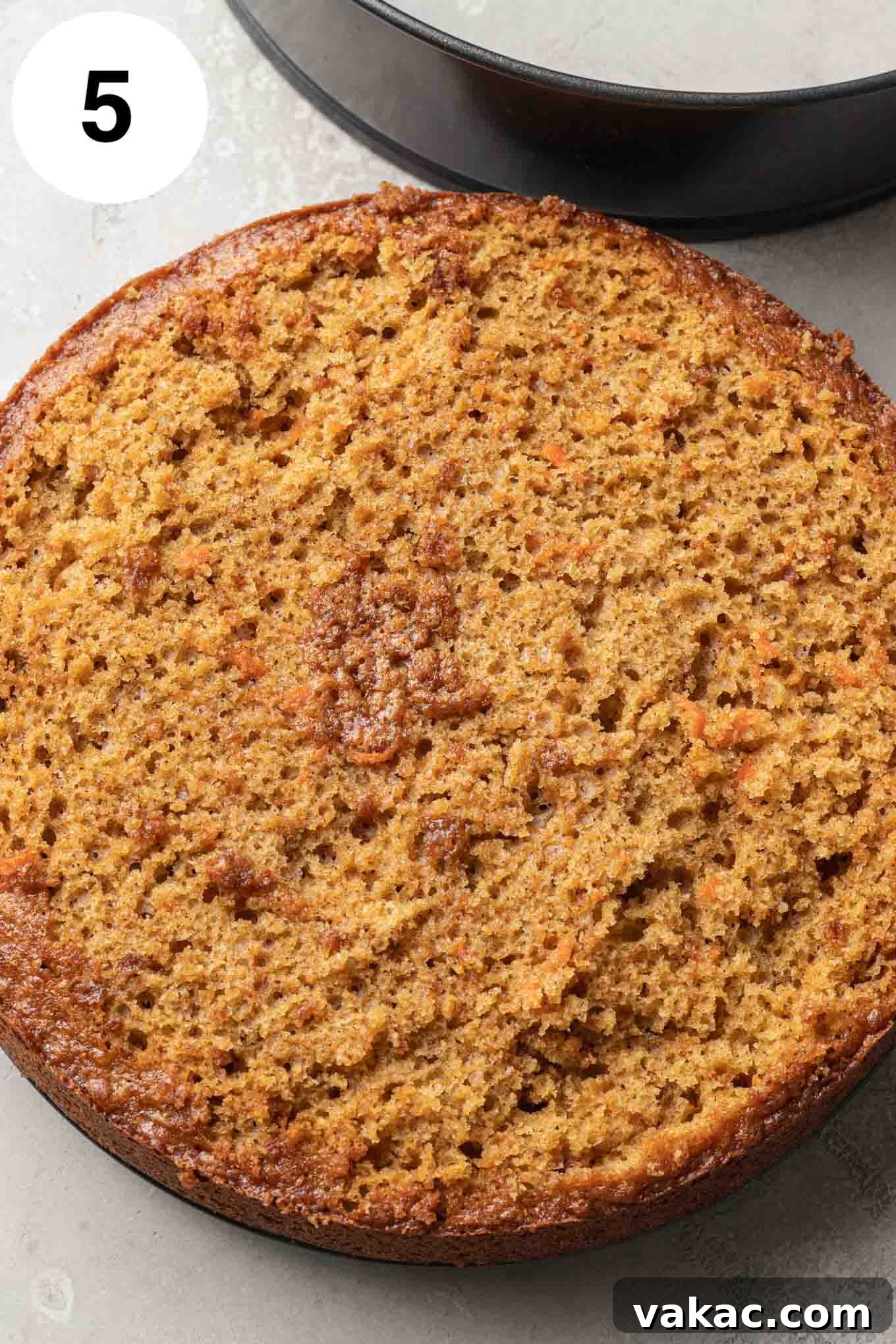 Decadent Spiced Carrot Cheesecake 8 An overhead view of a carrot cake that's been leveled on top.