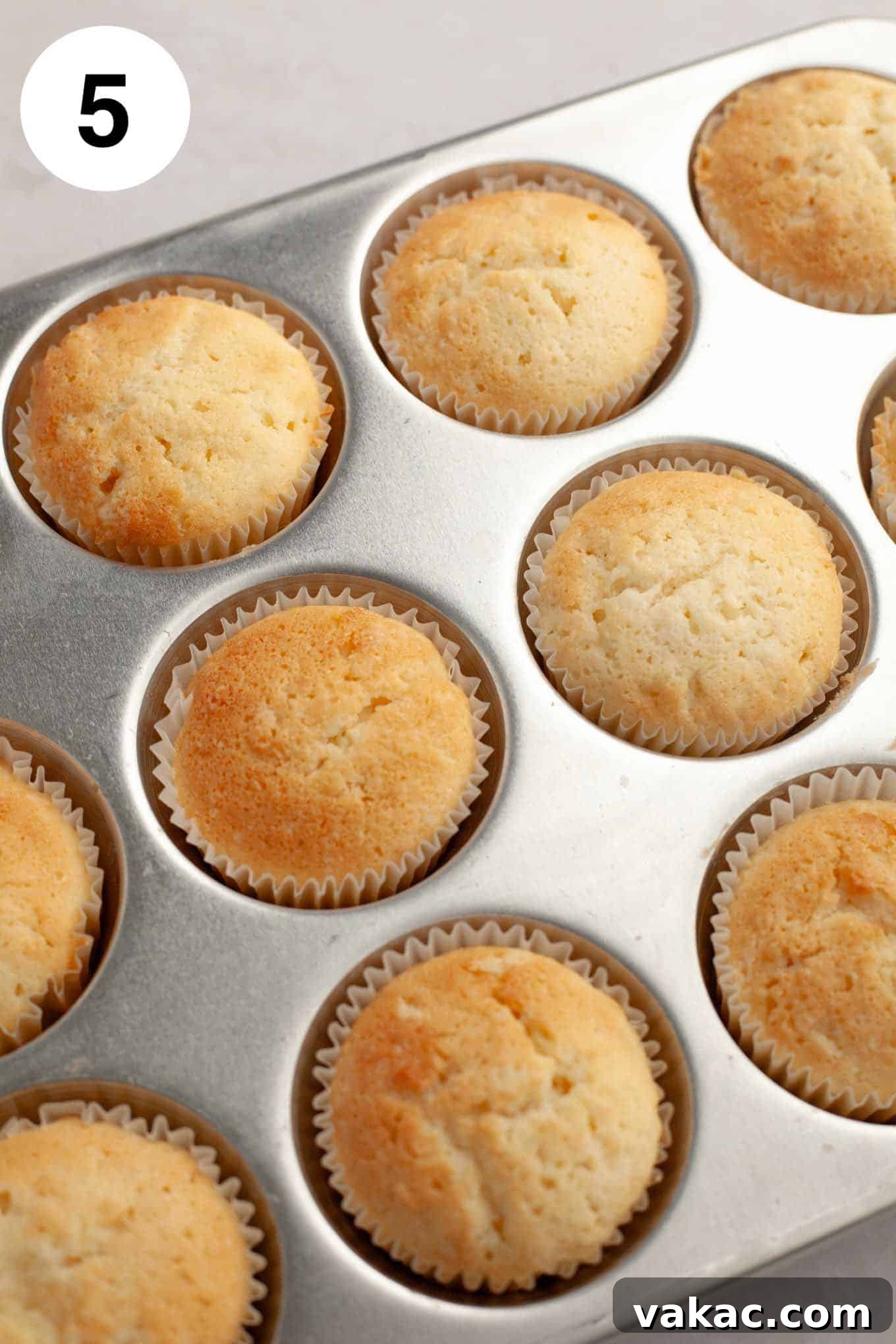 Tropical Coconut Delights 9 A tray of freshly baked, unfrosted coconut cupcakes resting in a cupcake pan, perfectly golden and ready for cooling.