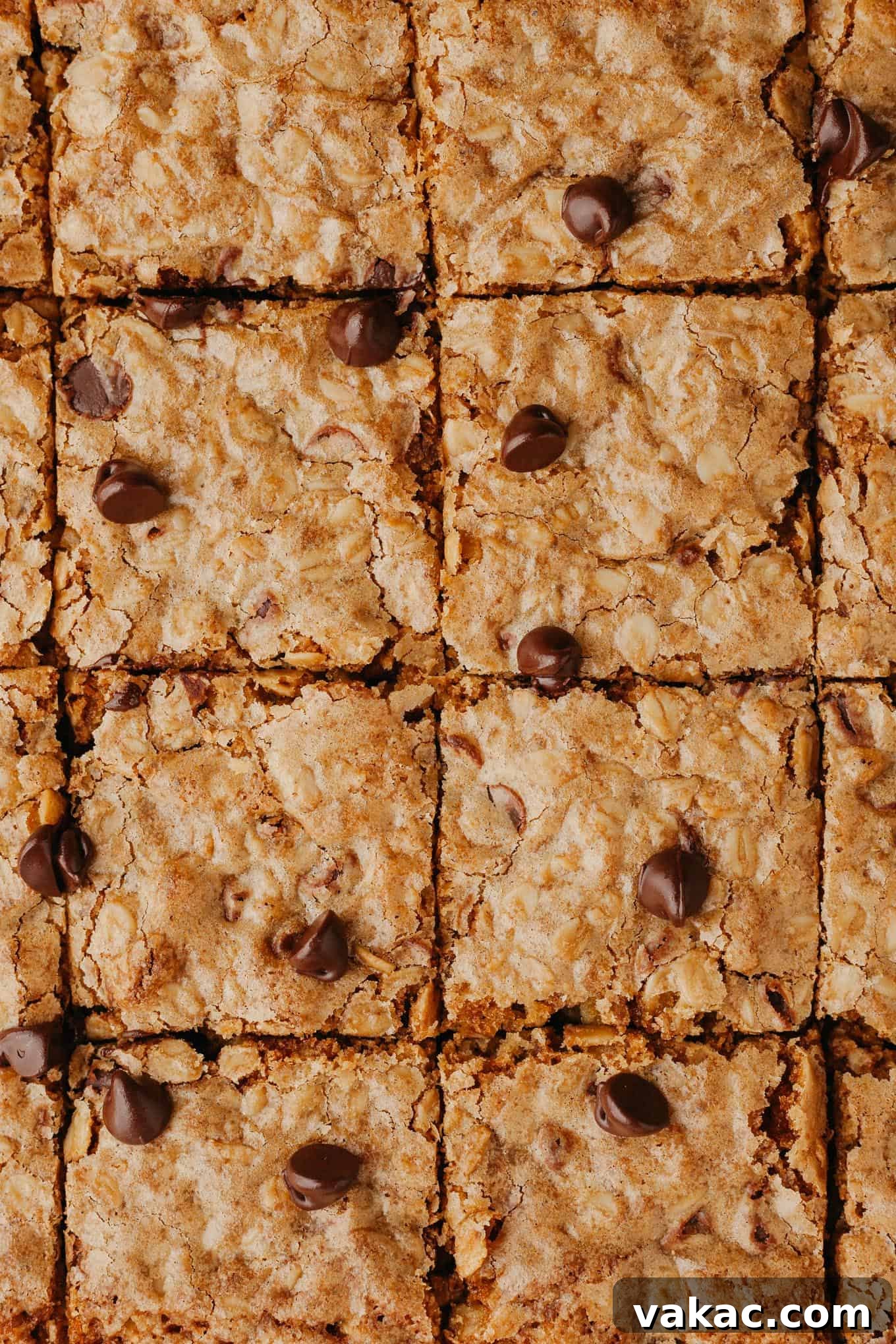 Golden Oatmeal Bars 8 A close-up, overhead view of perfectly sliced oatmeal cookie bars, still in their baking pan, revealing their moist and chewy texture.