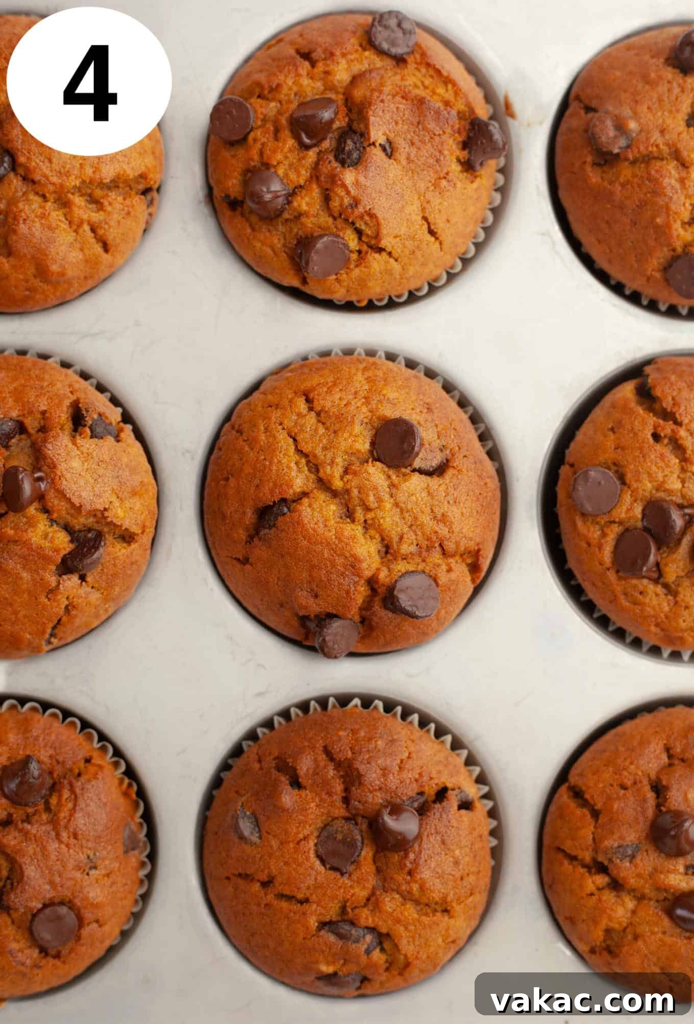 Harvest Pumpkin Chocolate Chip Muffins 7 An overhead view of a baked spiced pumpkin chocolate chip muffins in a muffin pan.