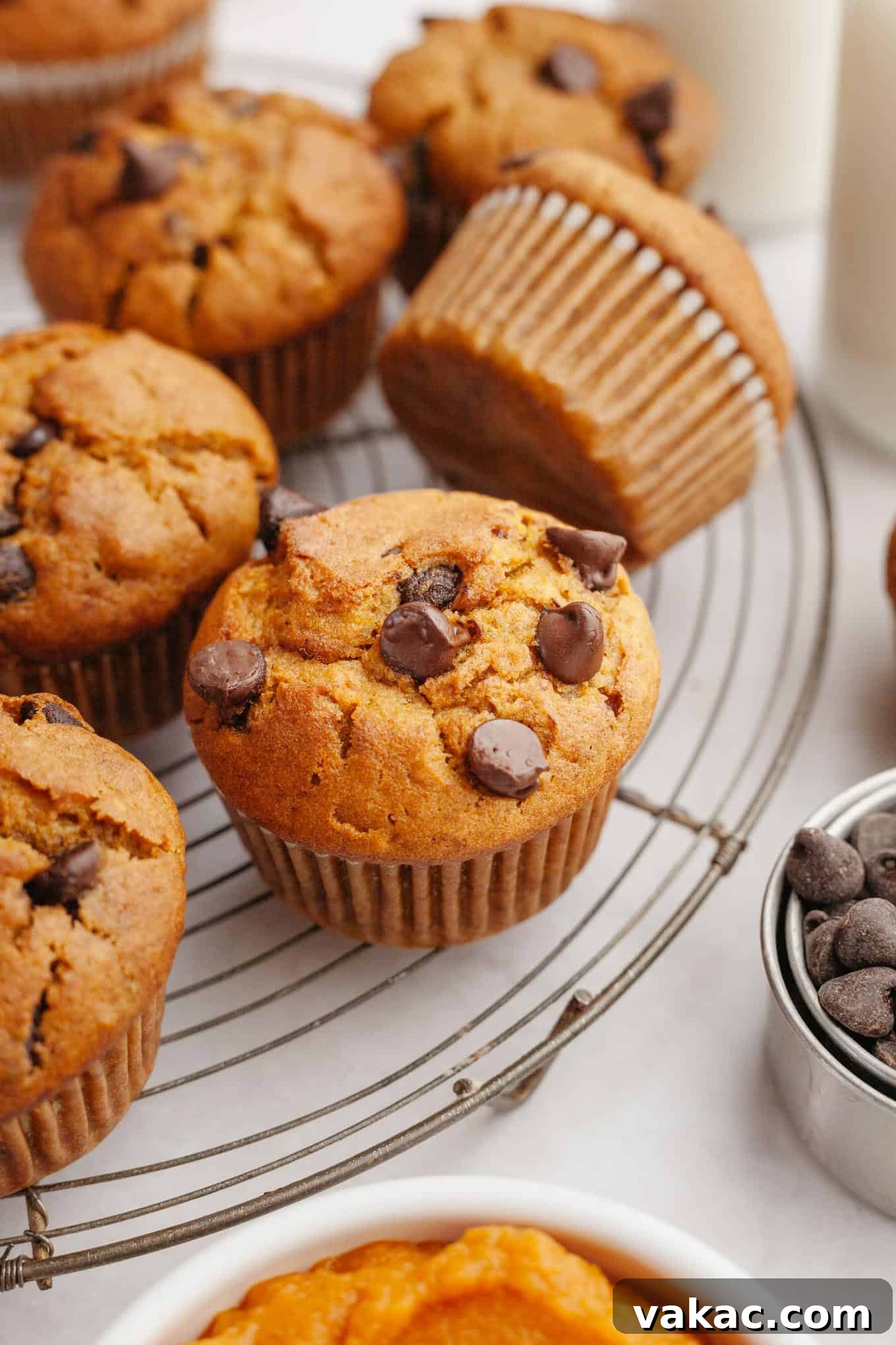Harvest Pumpkin Chocolate Chip Muffins 8 Chocolate chip pumpkin muffins cooling on a wire rack.