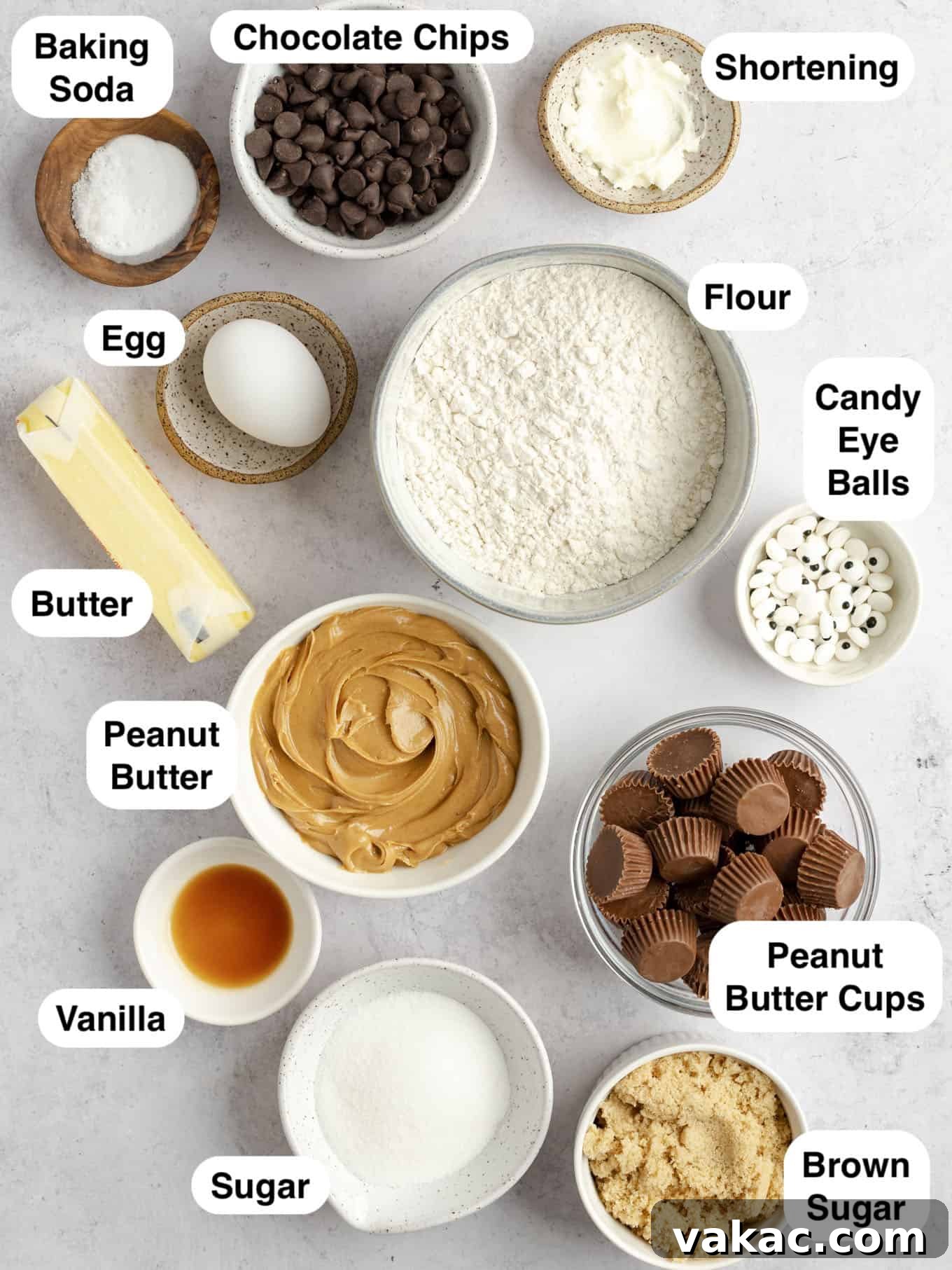 An overhead view of the ingredients needed to make peanut butter spider cookies.