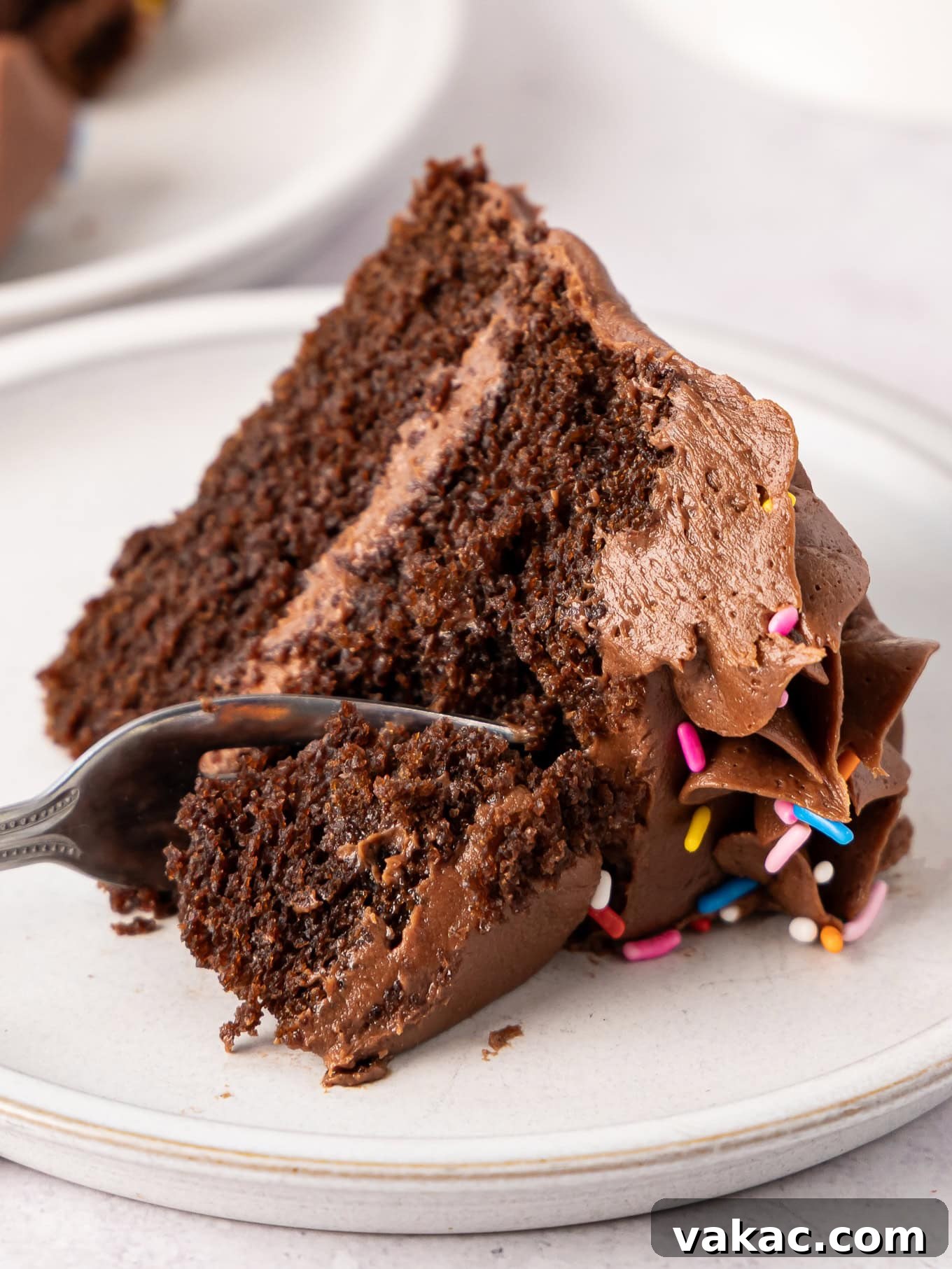 Mini Indulgence 12 A delectable slice of moist chocolate cake on a dessert plate, showcasing its fluffy frosting and rich layers, ready to be enjoyed.