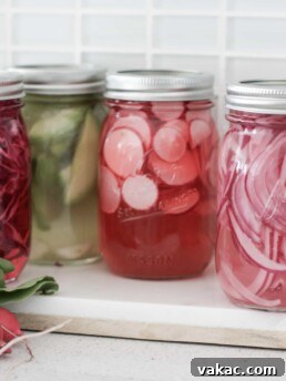 Four jars of quick pickled vegetables: red onion, purple cabbage, radishes, and avocado.