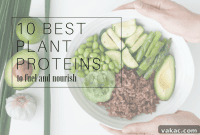 Plant Based Protein Powerhouses for Optimal Health