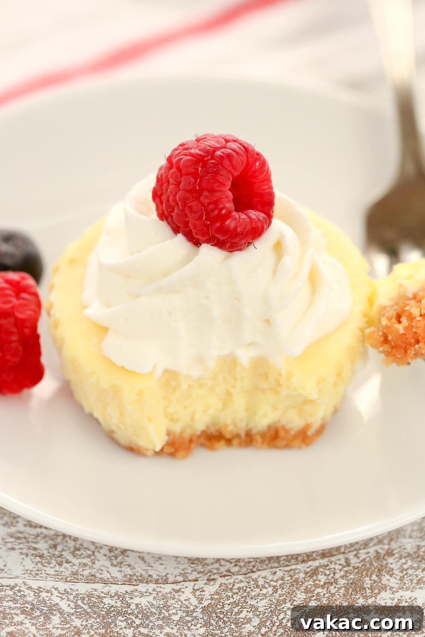 Sunshine Lemon Cheesecake Bites 5 A mini lemon cheesecake garnished with whipped cream and a fresh raspberry. A bite is missing from the cheesecake.