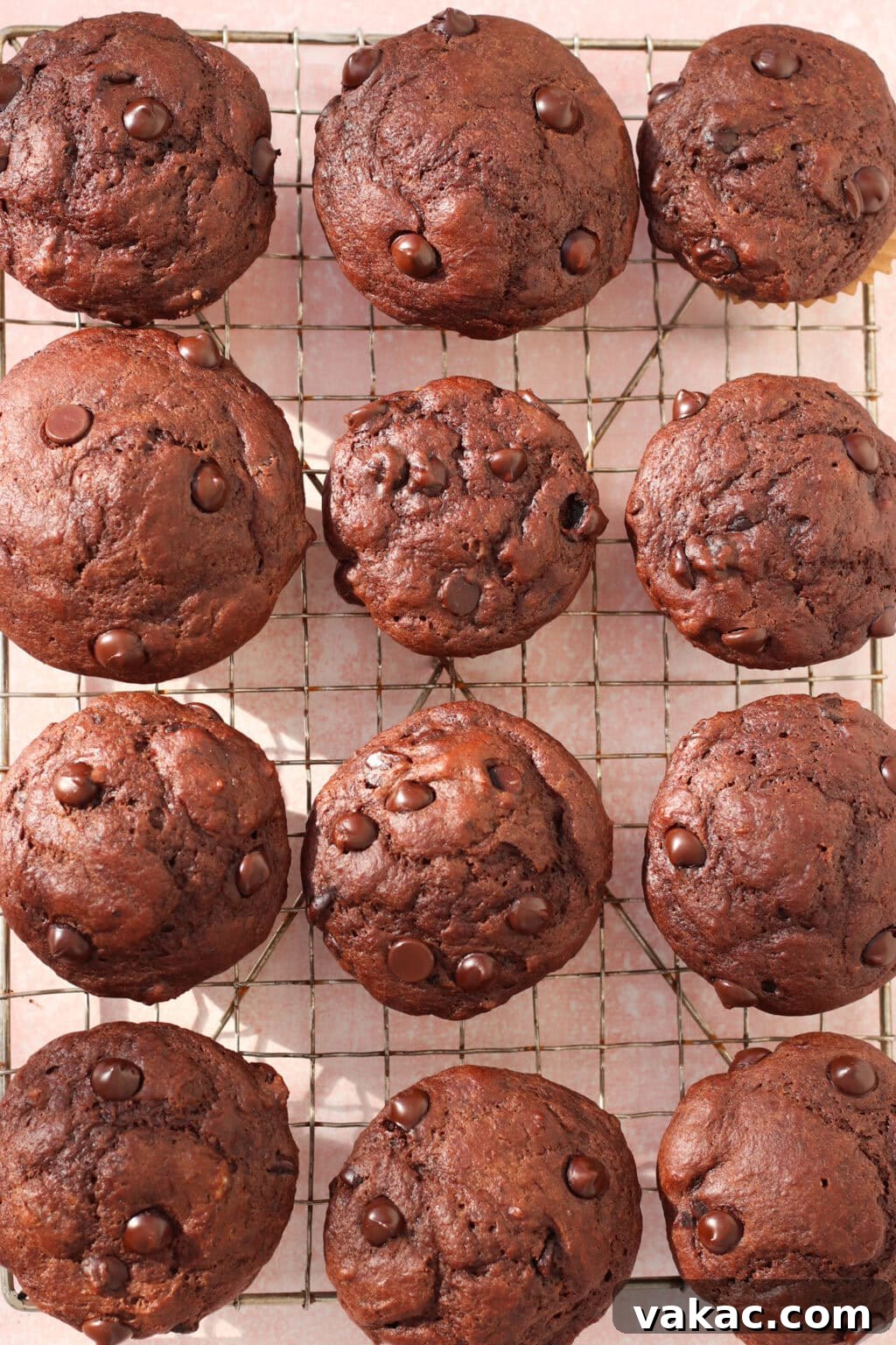Velvety Moist Double Chocolate Muffins Naturally Packed with Protein 7 Twelve chocolate muffins with chocolate chips are arranged in rows on a cooling rack, viewed from above. The muffins are rich brown and the rack sits on a light surface.
