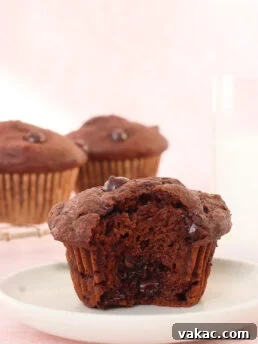 A chocolate muffin with a bite taken out sits on a white plate, revealing a moist, chocolatey inside. Two whole muffins and a glass of milk are in the background on a light pink surface.