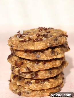 A stack of six chocolate chip oatmeal cookies sits on a light pink surface, with sunlight highlighting the cookies texture and chocolate chips.